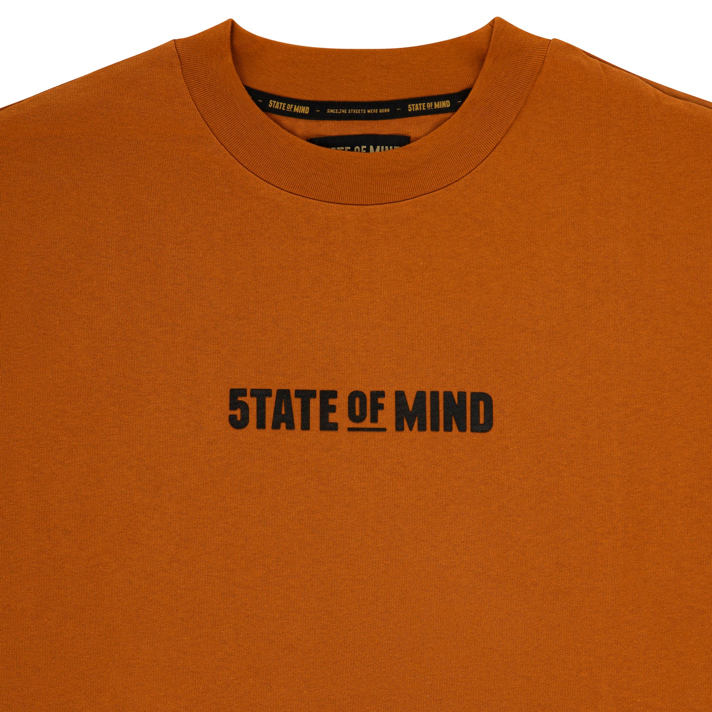 "BOX LOGO" T-Shirt Rust