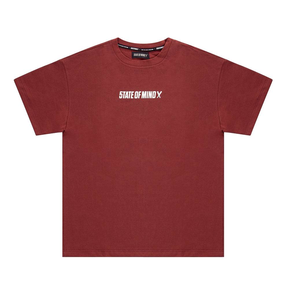 " BOX LOGO " T-Shirt Brick