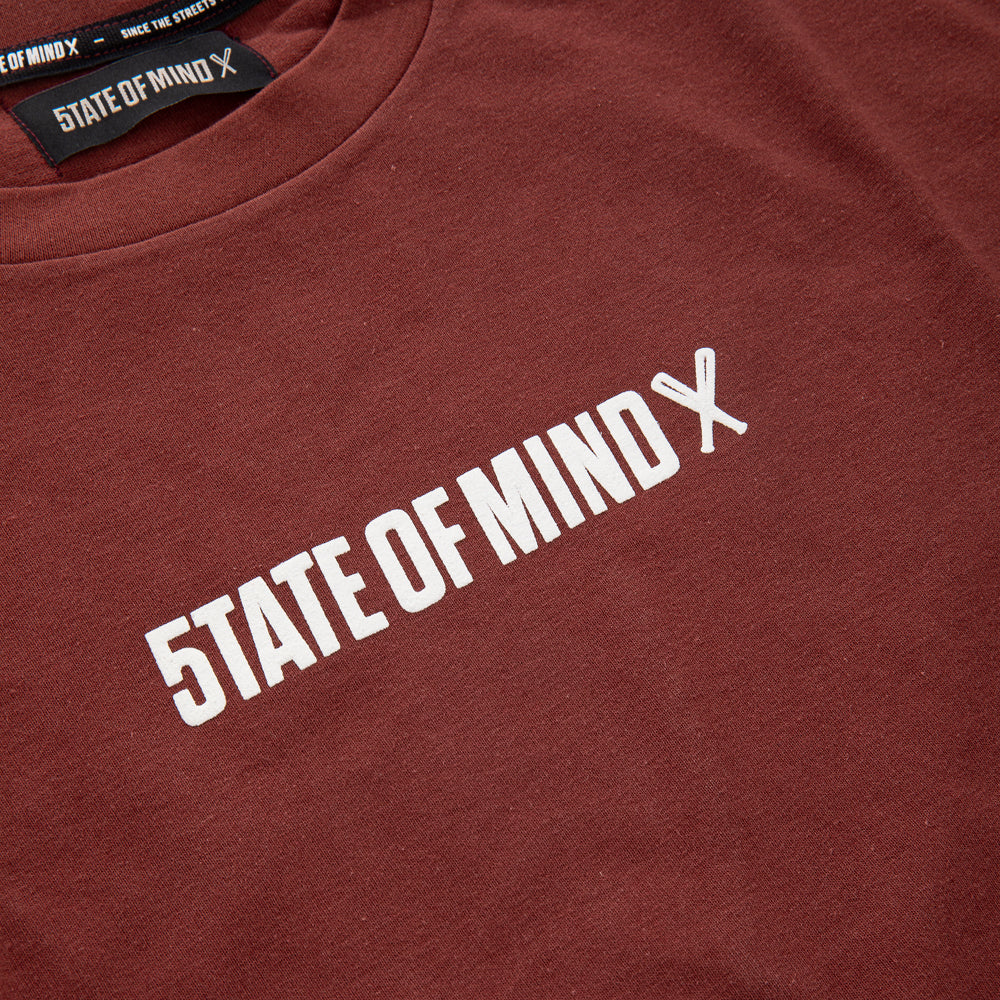 " BOX LOGO " T-Shirt Brick