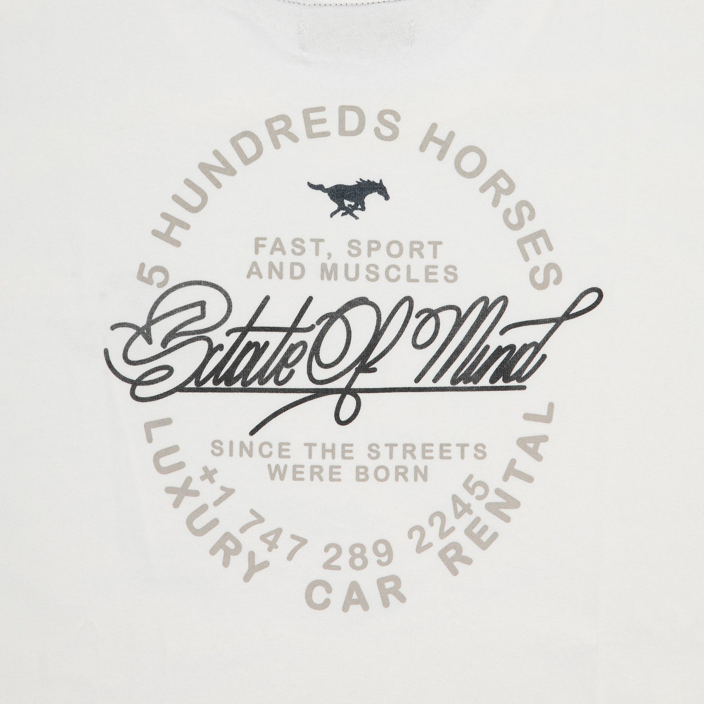 "5 HUNDREDS HORSES" T-shirt Milk