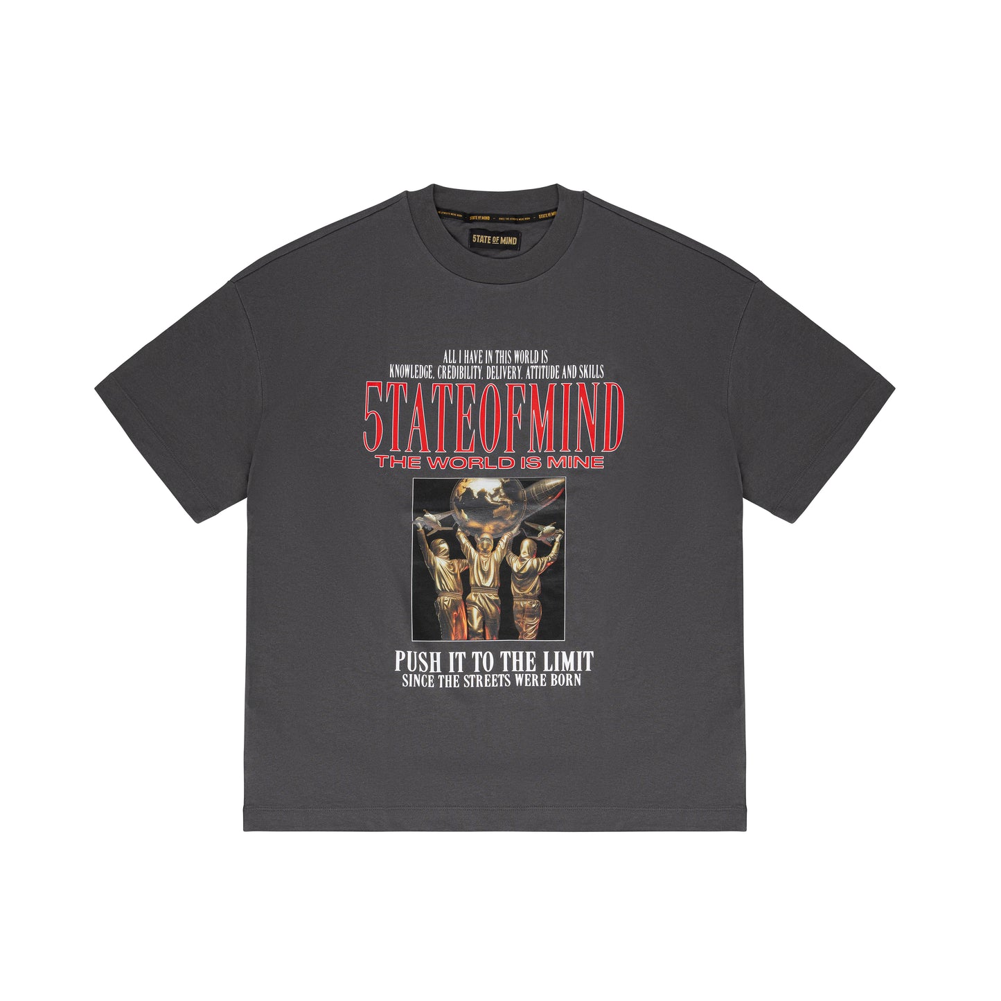 "THE WORLD IS MINE" T-Shirt Iron