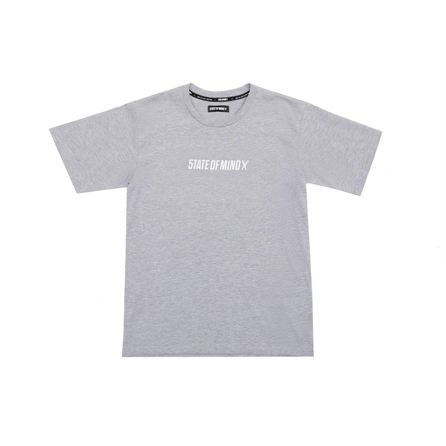 "BOX LOGO" t-shirt sport grey