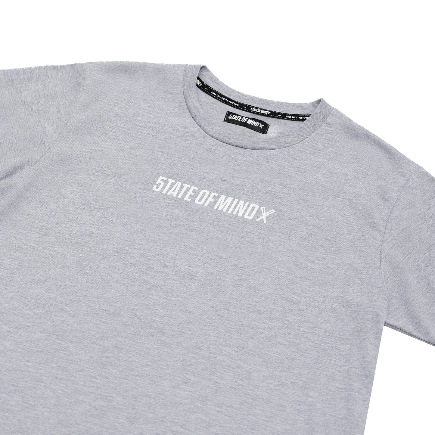 "BOX LOGO" t-shirt sport grey